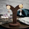 Glossy Stone Earrings